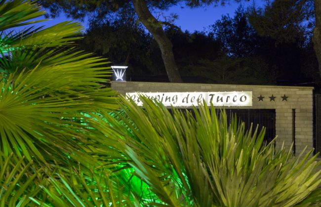 Insegna luminosa tra foglie verdi, cielo notturno sullo sfondo.