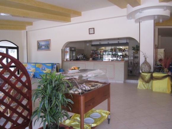 Un bar con un banco e piante decorative.