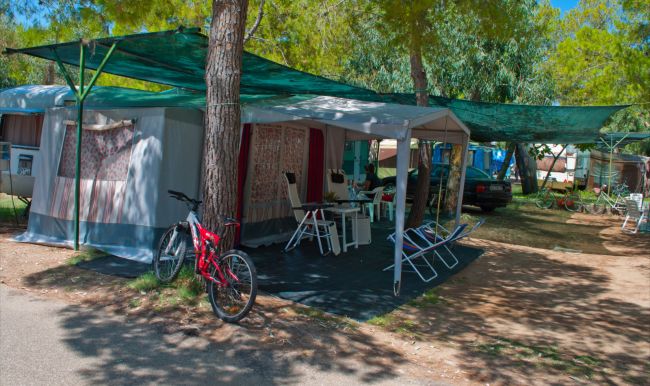 Area campeggio con tenda e bici sotto alberi.