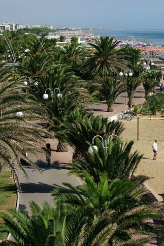Un lungomare con palme e una spiaggia affollata sullo sfondo.