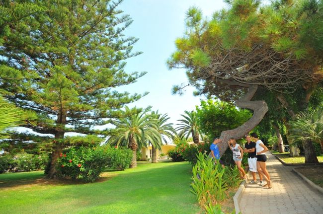 Persone in un giardino con palme e alberi.