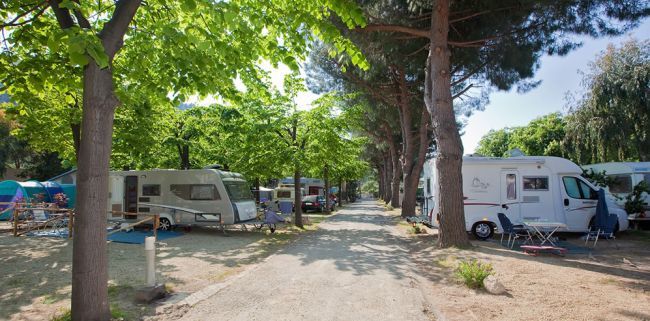 Area campeggio con roulotte tra gli alberi su un vialetto sterrato.