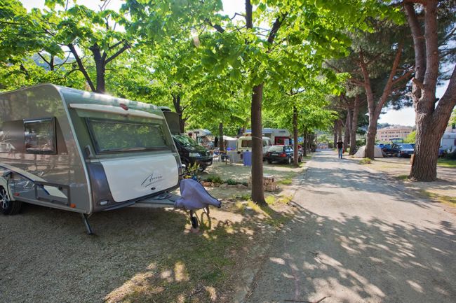 Roulotte parcheggiate in un'area alberata.