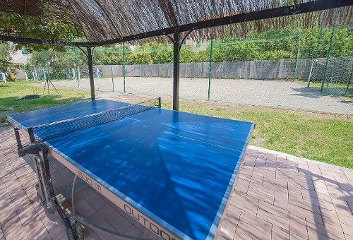 Tavolo da ping pong blu coperto da un gazebo di paglia.