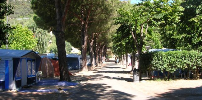Campeggio con tende e strada alberata ombreggiata.
