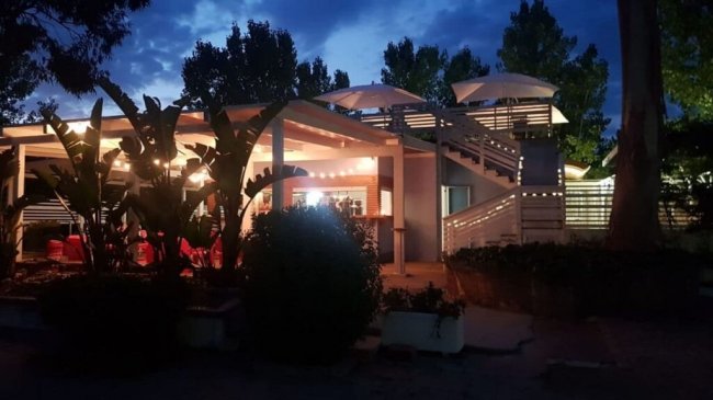 Edificio illuminato tra alberi al crepuscolo.