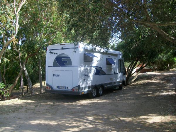 Camper bianco parcheggiato all'ombra di alberi, in un ambiente boscoso.