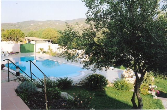 Piscina circondata da piante e alberi, con vista su colline verdi.