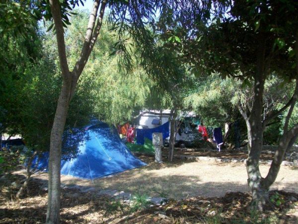 Una tenda blu montata tra alberi in un campeggio verde.