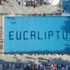 Camping Eucaliptus - Alba Adriatica - Abruzzo