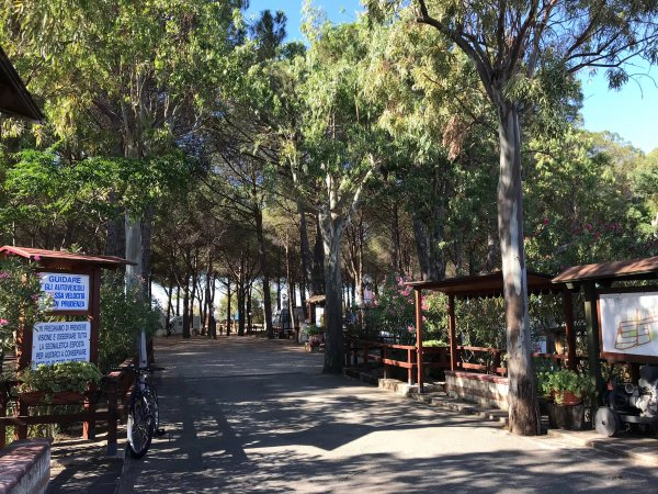 Viale alberato con panchine e cartelli.