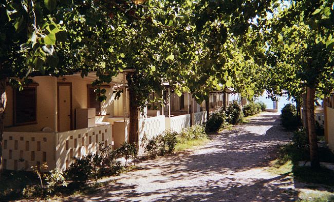 Vialetto ombreggiato con bungalow ai lati, piante e alberi.