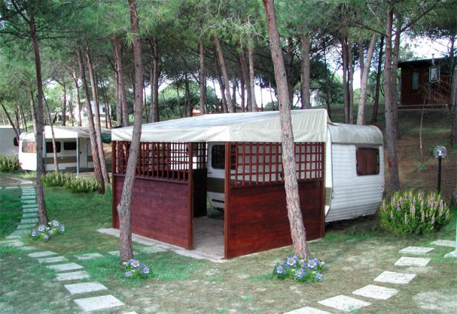 Una roulotte con copertura e pannelli in legno, situata tra alberi alti.