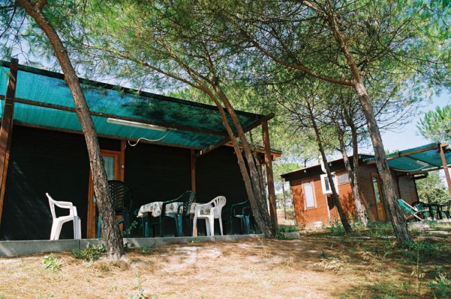 Bungalow in legno con sedie e tavolo all'esterno, circondato da alberi.