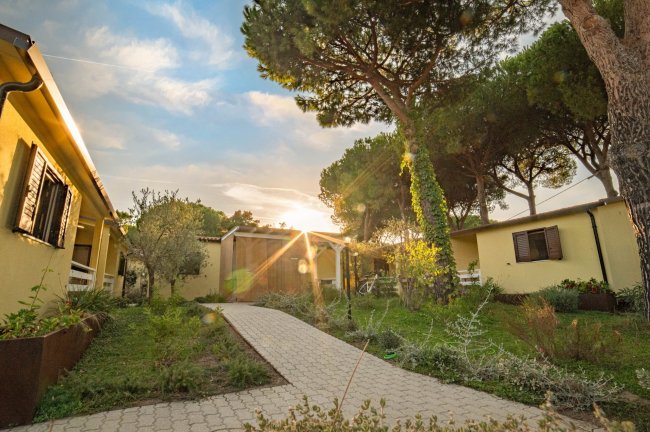 Sentiero tra case gialle e alberi con sole al tramonto.