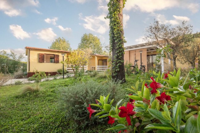 Case gialle tra fiori rossi e alberi verdi.