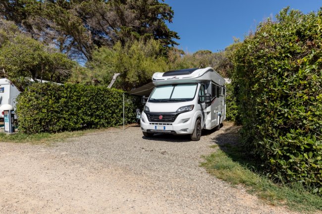 Camper parcheggiato tra siepi in un'area verde.