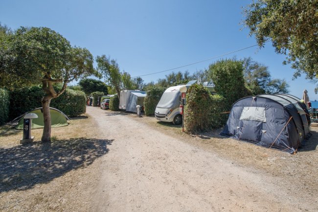 Campeggio con camper e tende su un vialetto sterrato.