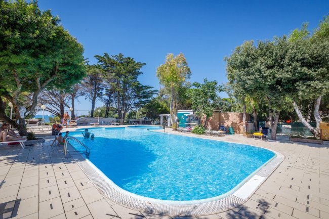 Piscina all'aperto circondata da alberi.