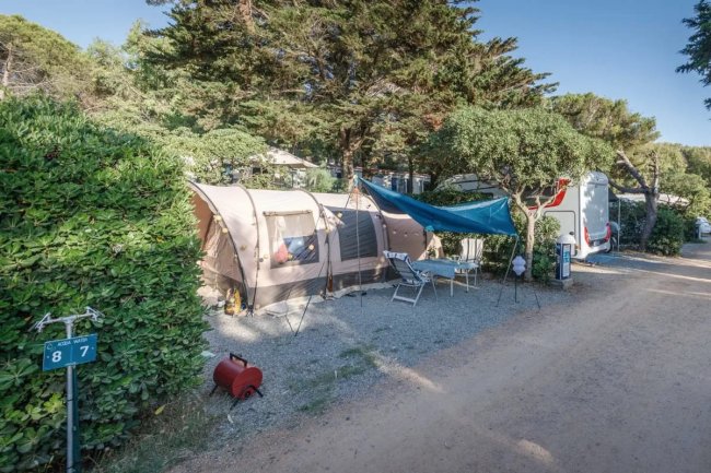 Tenda da campeggio montata tra gli alberi.
