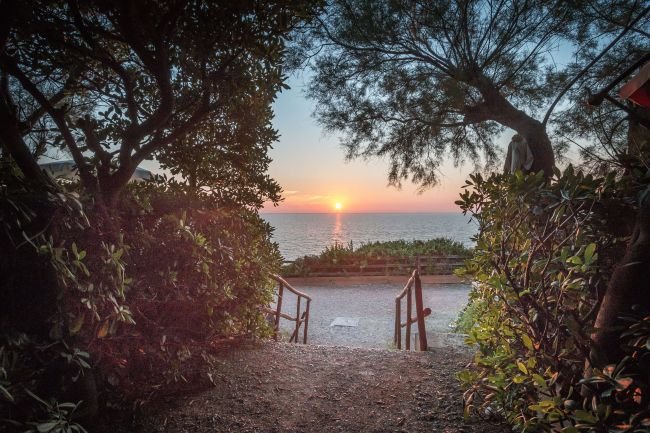 Sentiero con vista sul mare al tramonto tra alberi e arbusti.