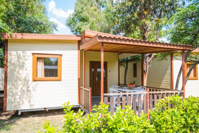 Casa mobile con veranda coperta, circondata da piante e alberi.