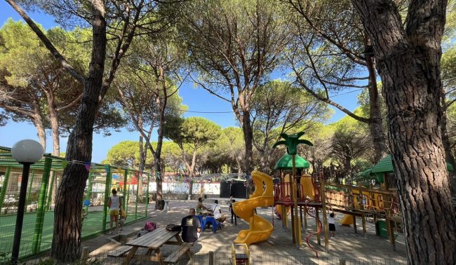 Parco giochi all'aperto con scivolo giallo e tavoli da pic-nic, circondato da alberi alti.