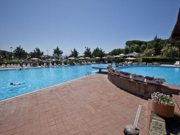 Ampia piscina blu accanto a un'area con fiori in vaso, circondata da sedie a sdraio.
