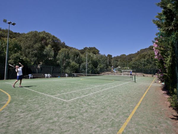 Campo da tennis all'aperto con giocatori in azione circondato da alberi.