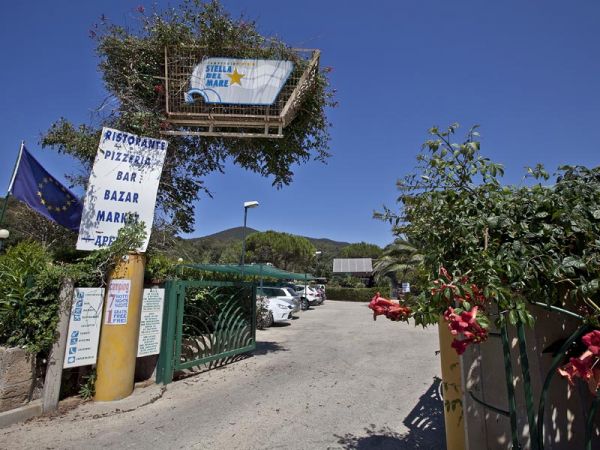Ingresso di un ristorante e bazar con cartelli e piante fiorite.