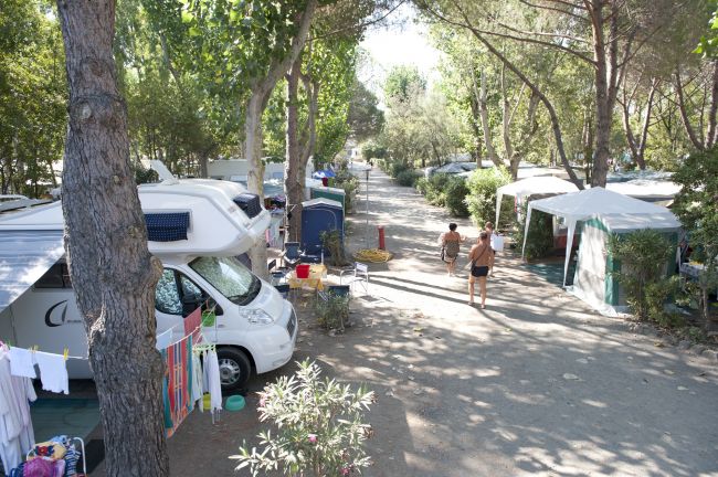 Un campeggio con camper, tende e due persone che camminano tra gli alberi.