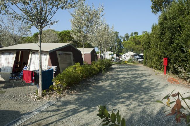 Una strada sterrata tra tende da campeggio e alberi.