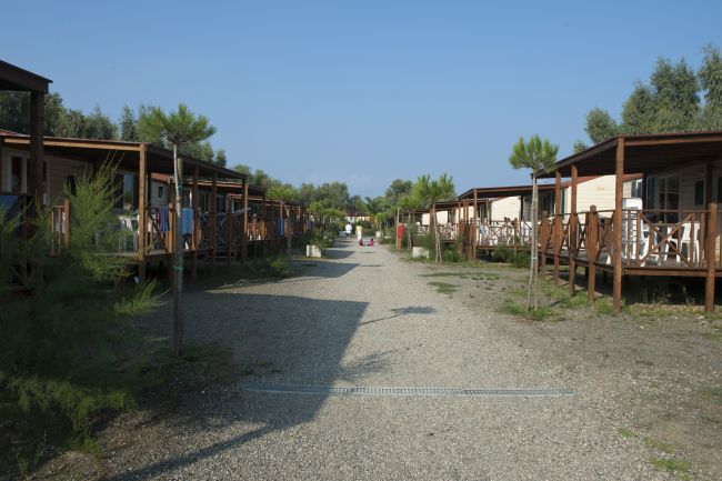 Strada con bungalow su entrambi i lati e piccoli alberi.
