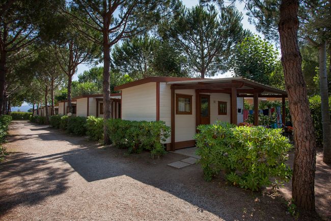 Un bungalow immerso tra gli alberi.