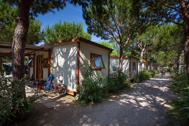 Casa mobile tra alberi e biciclette parcheggiate.