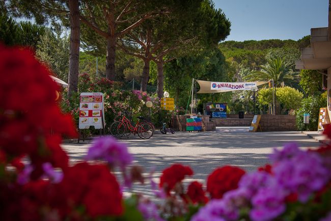 Ingresso con fiori e cartelli, bici parcheggiata.