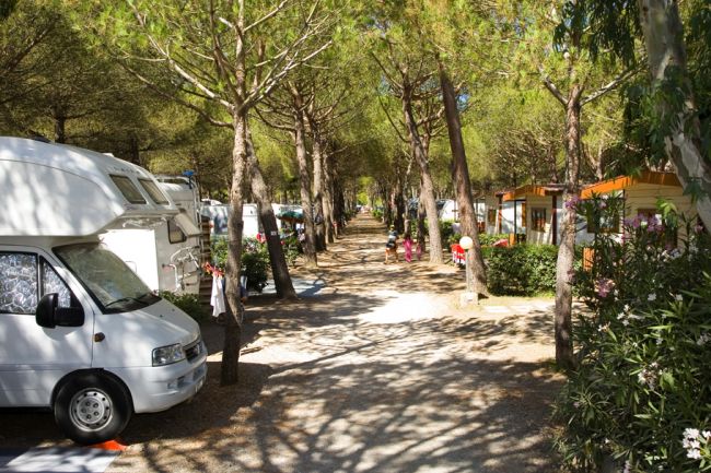 Camper in una strada alberata in campeggio.