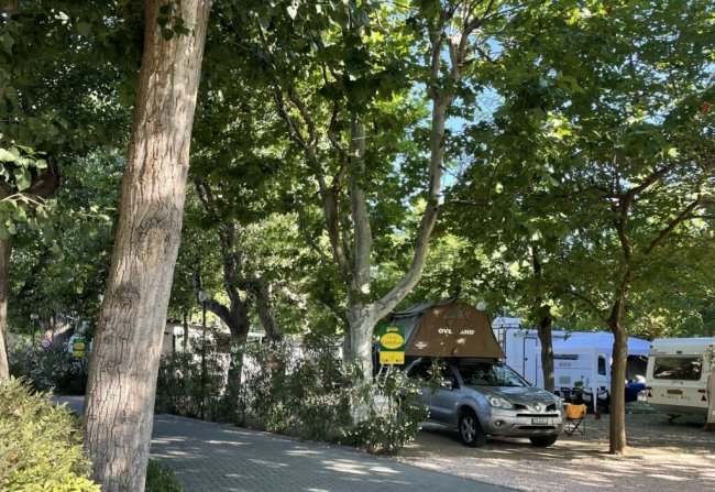 Auto con tenda sotto alberi in campeggio.
