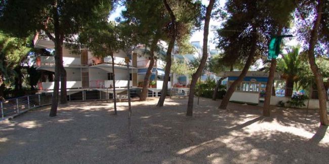Un cortile alberato con case sullo sfondo.