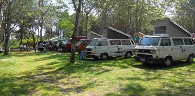 Furgoni e camper parcheggiati in un'area verde boschiva.