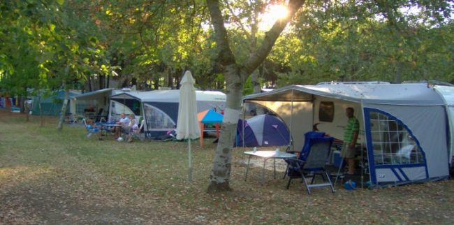 Camper con veranda sotto alberi in un campeggio.
