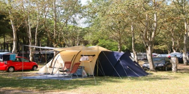 Tenda da campeggio tra alberi e auto parcheggiate.