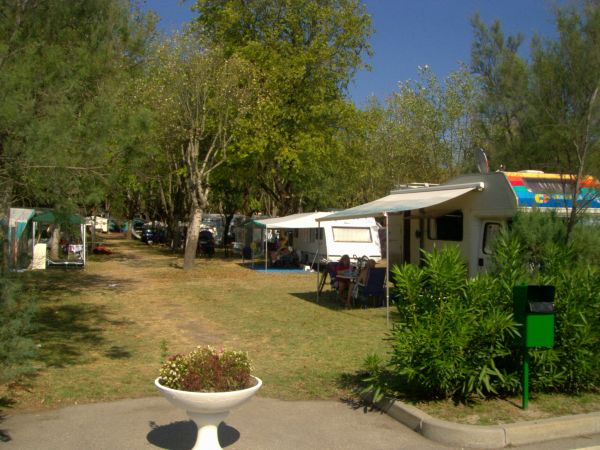 Area campeggio con camper e tende tra gli alberi.