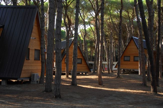 Chalet di legno tra gli alberi in un bosco.