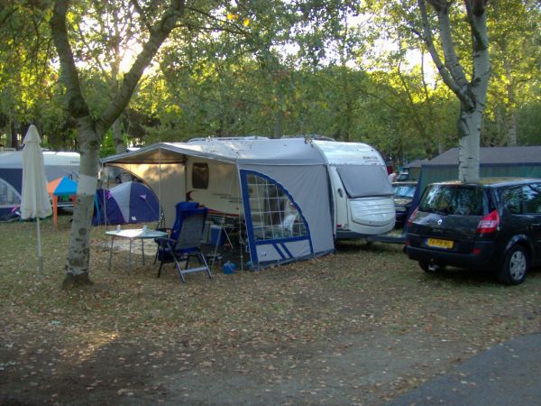 Camper e auto parcheggiati sotto gli alberi al campeggio.