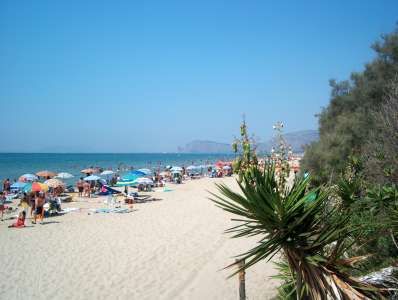 Una spiaggia affollata, con ombrelloni colorati e alberi sul lato.