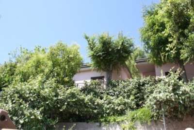 Vista dal basso di un edificio nascosto da alberi e piante verdi.