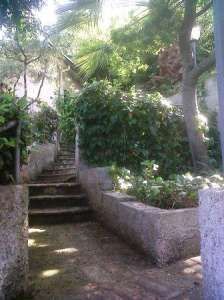 Sentiero gradinato in un giardino ombreggiato con piante rigogliose.