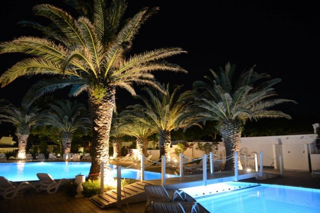 Piscina illuminata di notte con palme.
