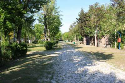Un sentiero alberato in un parco con erba e ombra.